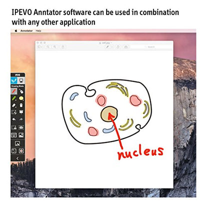 IPEVO IW2 Sistema de pizarra blanca interactiva inalámbrica. Enseñar desde casa, jugar en casa, bolígrafo corto 5-876-1-01-00