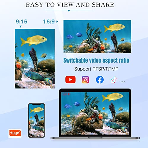 Barlus Cámara subacuática mejorada Lente de enfoque ajustable 5MP Full HD Video POE Cámara para Koi Pond