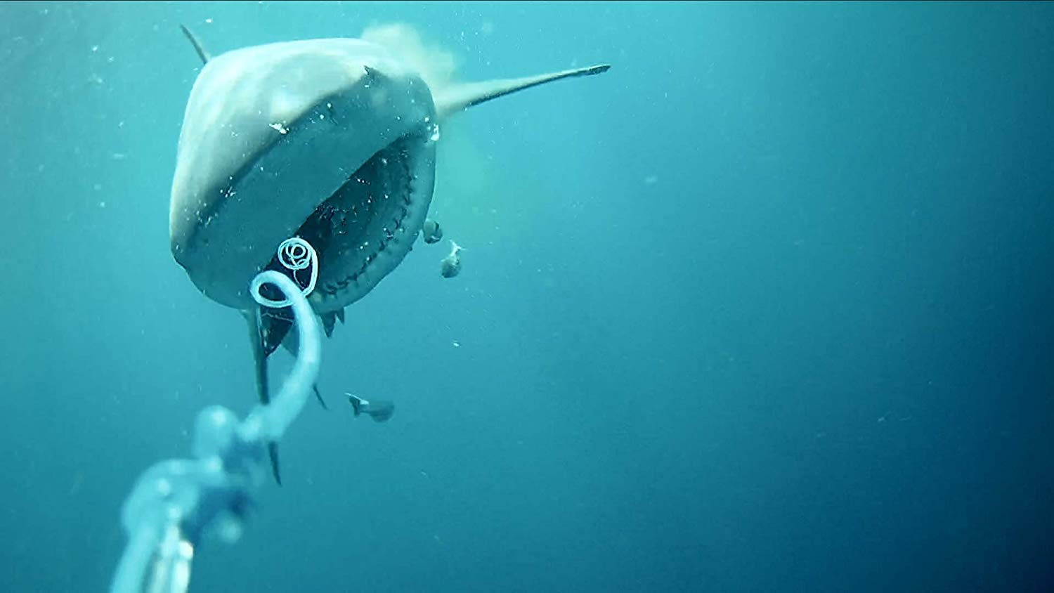 GoFish Cam Wireless Underwater Fishing Camera