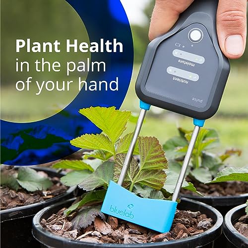Bluelab METPULSE Medidor de pulso de agua 3 en 1 humedad/nutrientes (TDS)/kit de prueba de temperatura para suelo de jardín, coco y solución, éster para sistema hidropónico y cultivo de plantas de interior, transparente