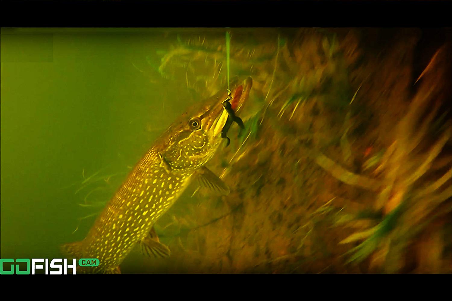 GoFish Cam Wireless Underwater Fishing Camera
