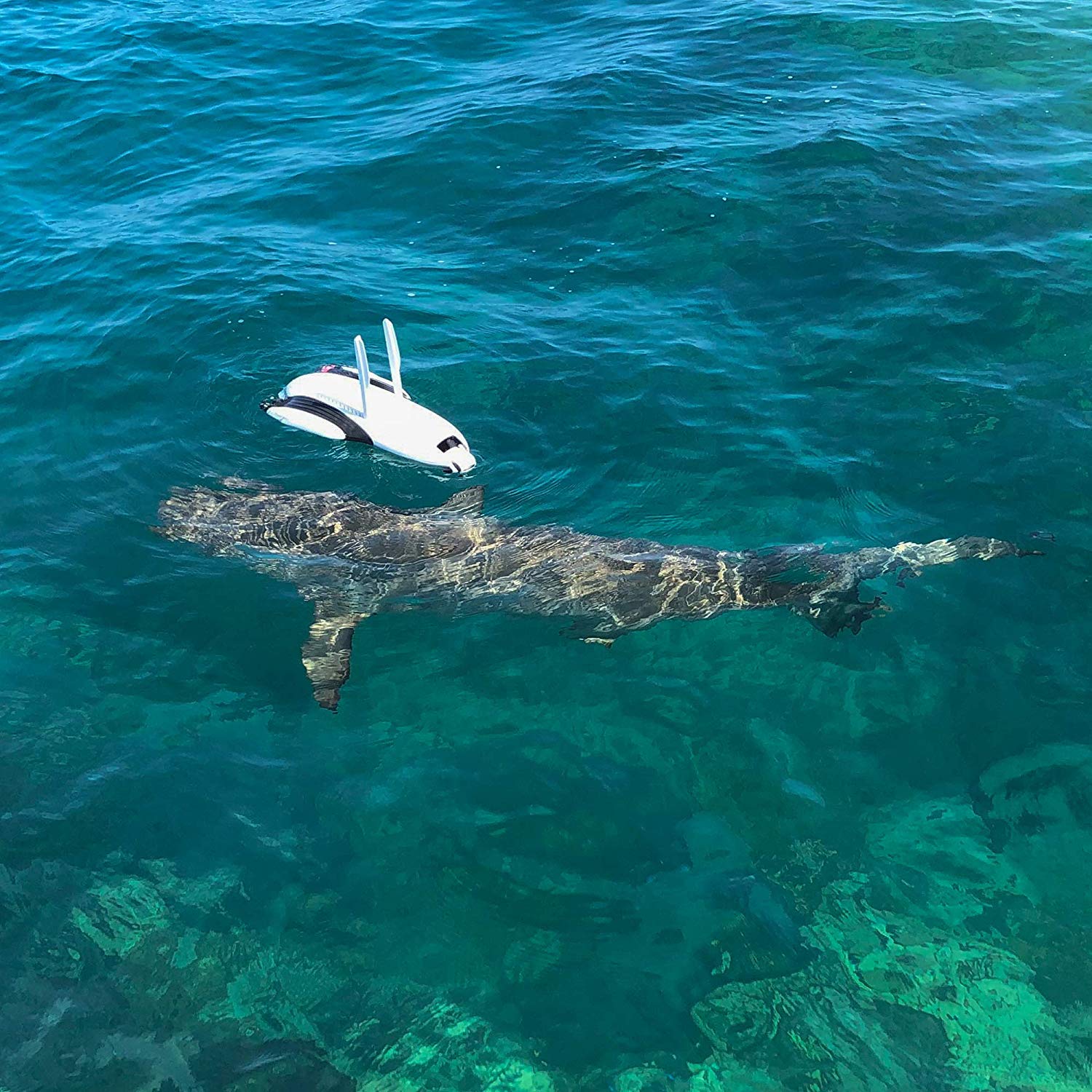 PowerVision Powerdolphin Wizard Water Surface Drone with 4K UHD Camera