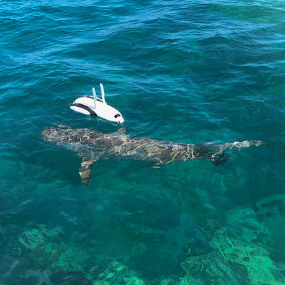 PowerVision Powerdolphin Wizard Water Surface Drone with 4K UHD Camera