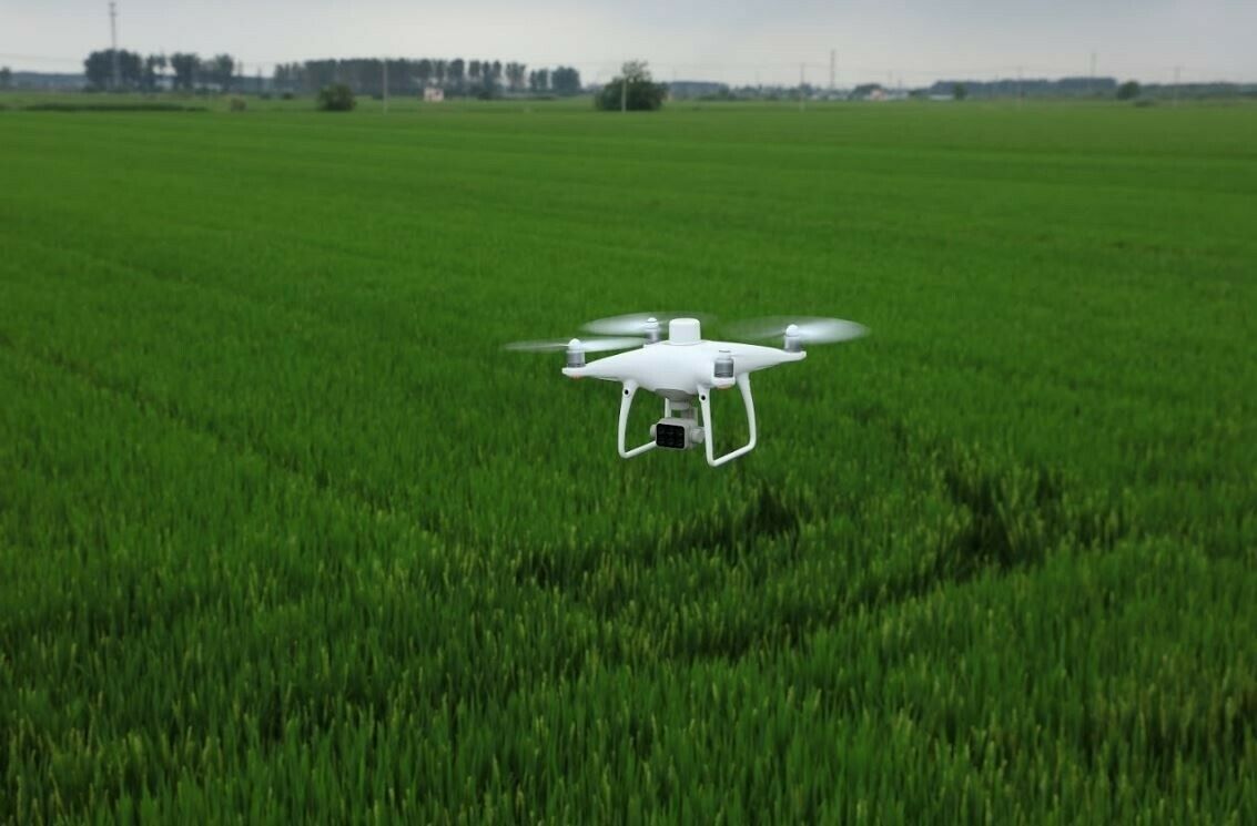 P4 Multispectral Drone for Agriculture and Farming by DJI | Authorized Dealer