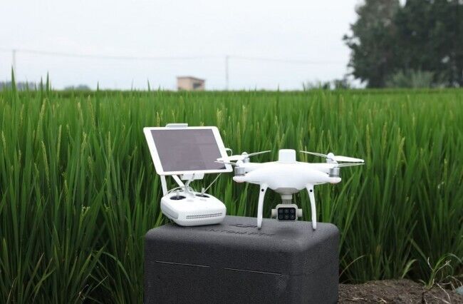 DJI Phantom Multispectral 4 RTK + D-RTK 2 Mobile Station Combo (Shield Basic)